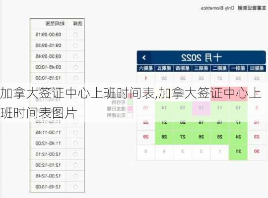 加拿大签证中心上班时间表,加拿大签证中心上班时间表图片