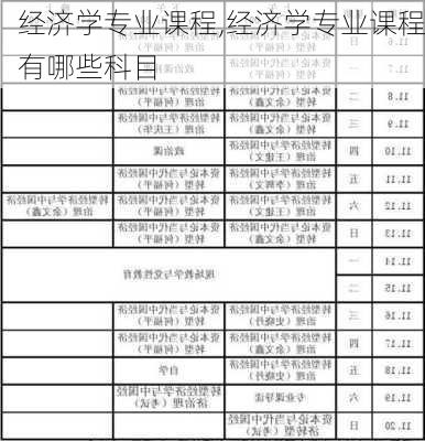 经济学专业课程,经济学专业课程有哪些科目