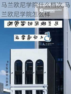 马兰欧尼学院什么档次,马兰欧尼学院怎么样