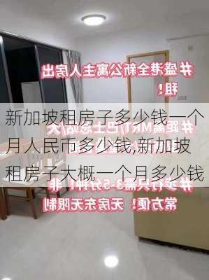 新加坡租房子多少钱一个月人民币多少钱,新加坡租房子大概一个月多少钱