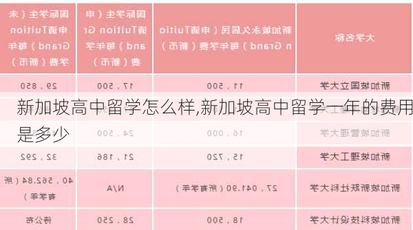 新加坡高中留学怎么样,新加坡高中留学一年的费用是多少