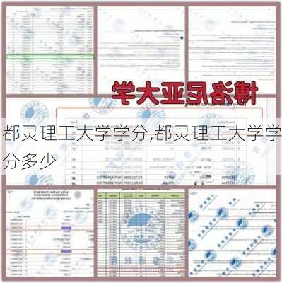 都灵理工大学学分,都灵理工大学学分多少