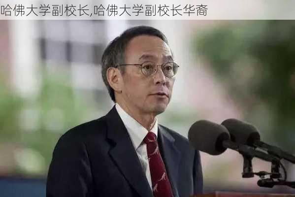 哈佛大学副校长,哈佛大学副校长华裔