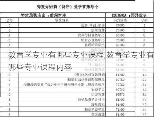 教育学专业有哪些专业课程,教育学专业有哪些专业课程内容