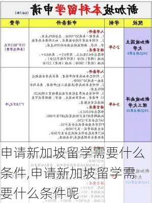 申请新加坡留学需要什么条件,申请新加坡留学需要什么条件呢