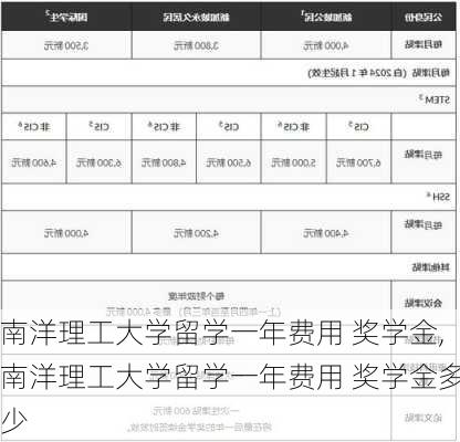 南洋理工大学留学一年费用 奖学金,南洋理工大学留学一年费用 奖学金多少