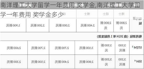 南洋理工大学留学一年费用 奖学金,南洋理工大学留学一年费用 奖学金多少