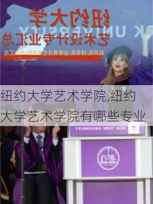 纽约大学艺术学院,纽约大学艺术学院有哪些专业