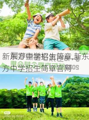 新东方中学招生简章,新东方中学招生简章官网