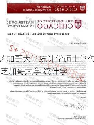 芝加哥大学统计学硕士学位,芝加哥大学 统计学