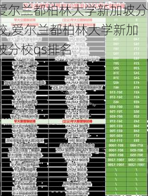 爱尔兰都柏林大学新加坡分校,爱尔兰都柏林大学新加坡分校qs排名