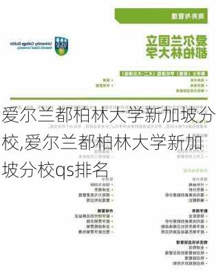 爱尔兰都柏林大学新加坡分校,爱尔兰都柏林大学新加坡分校qs排名