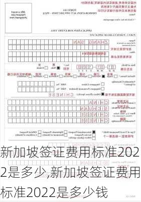 新加坡签证费用标准2022是多少,新加坡签证费用标准2022是多少钱