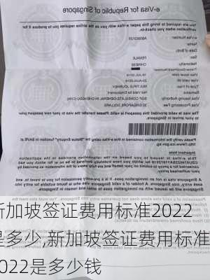 新加坡签证费用标准2022是多少,新加坡签证费用标准2022是多少钱