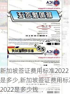 新加坡签证费用标准2022是多少,新加坡签证费用标准2022是多少钱