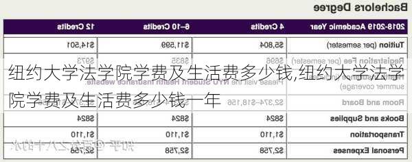 纽约大学法学院学费及生活费多少钱,纽约大学法学院学费及生活费多少钱一年