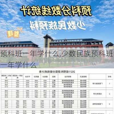 预科班一年学什么,少数民族预科班一年学什么