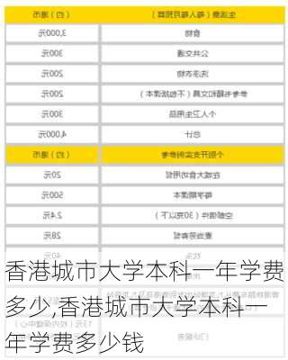 香港城市大学本科一年学费多少,香港城市大学本科一年学费多少钱