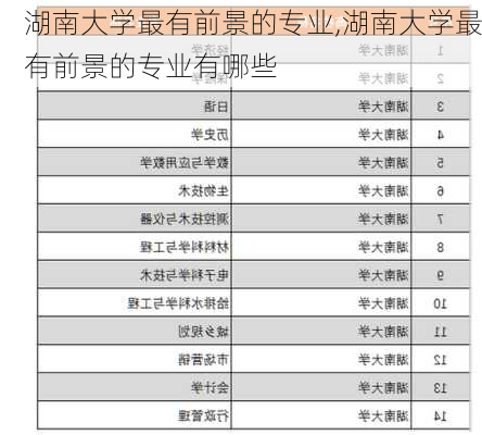 湖南大学最有前景的专业,湖南大学最有前景的专业有哪些