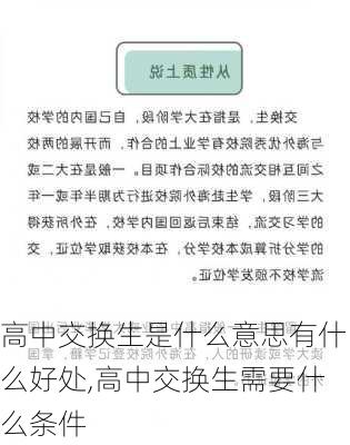 高中交换生是什么意思有什么好处,高中交换生需要什么条件