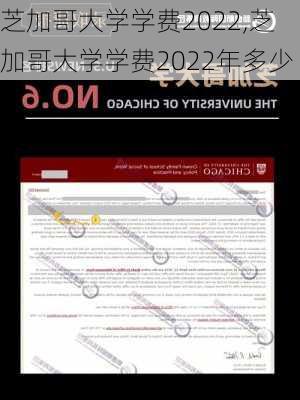 芝加哥大学学费2022,芝加哥大学学费2022年多少