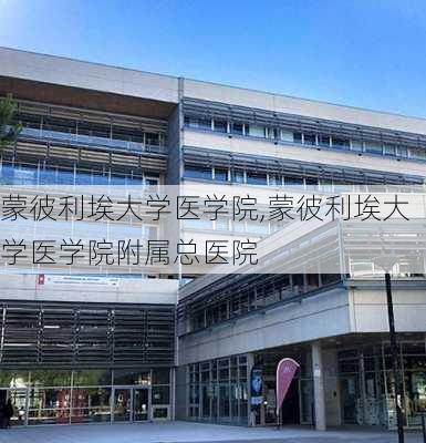 蒙彼利埃大学医学院,蒙彼利埃大学医学院附属总医院