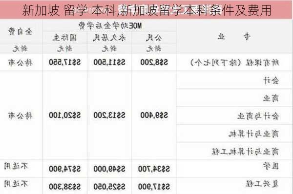 新加坡 留学 本科,新加坡留学本科条件及费用