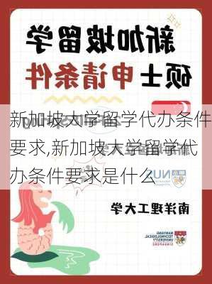 新加坡大学留学代办条件要求,新加坡大学留学代办条件要求是什么