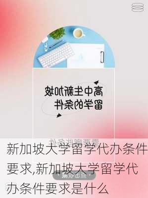 新加坡大学留学代办条件要求,新加坡大学留学代办条件要求是什么