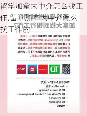 留学加拿大中介怎么找工作,留学加拿大中介怎么找工作的