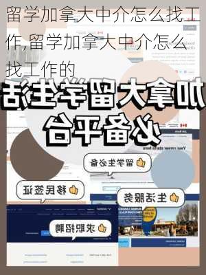 留学加拿大中介怎么找工作,留学加拿大中介怎么找工作的