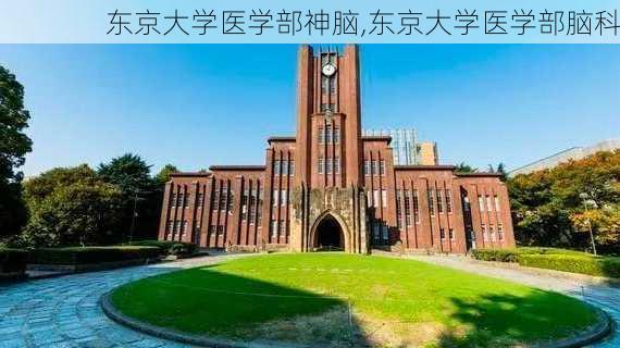 东京大学医学部神脑,东京大学医学部脑科