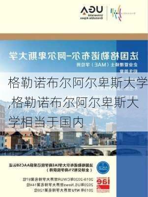 格勒诺布尔阿尔卑斯大学,格勒诺布尔阿尔卑斯大学相当于国内