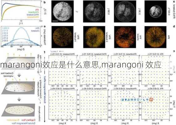 marangoni效应是什么意思,marangoni 效应