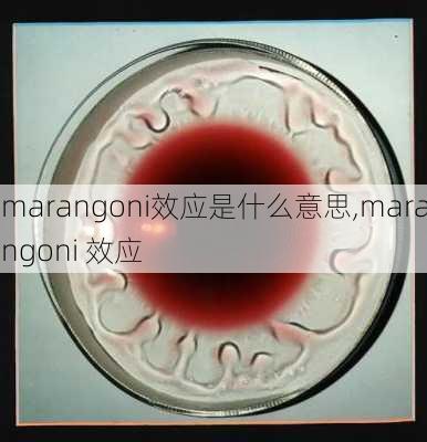 marangoni效应是什么意思,marangoni 效应