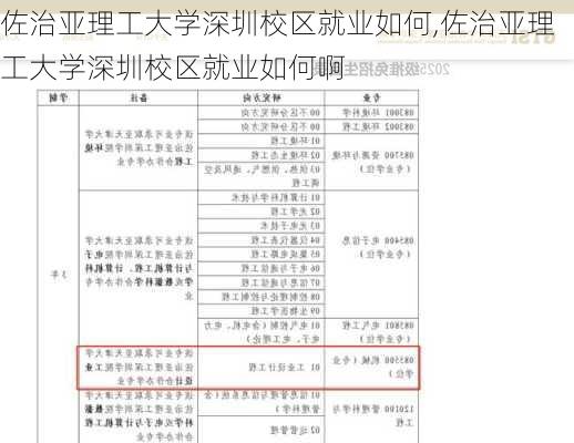 佐治亚理工大学深圳校区就业如何,佐治亚理工大学深圳校区就业如何啊