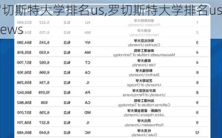 罗切斯特大学排名us,罗切斯特大学排名us news