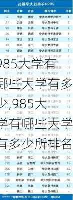 985大学有哪些大学有多少,985大学有哪些大学有多少所排名