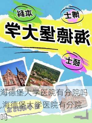 海德堡大学医院有分院吗,海德堡大学医院有分院吗