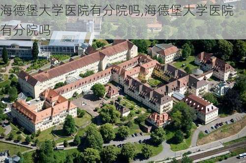 海德堡大学医院有分院吗,海德堡大学医院有分院吗