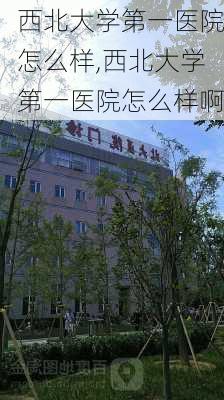 西北大学第一医院怎么样,西北大学第一医院怎么样啊