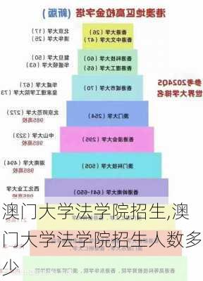 澳门大学法学院招生,澳门大学法学院招生人数多少