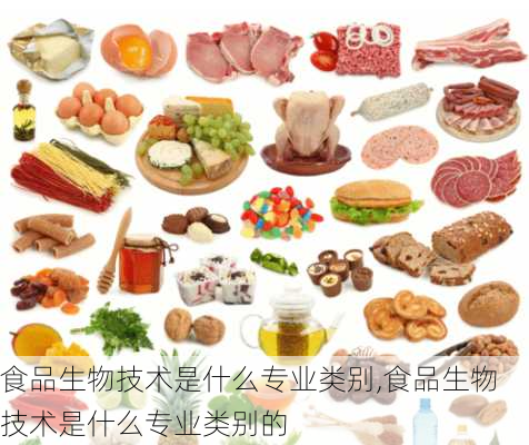 食品生物技术是什么专业类别,食品生物技术是什么专业类别的