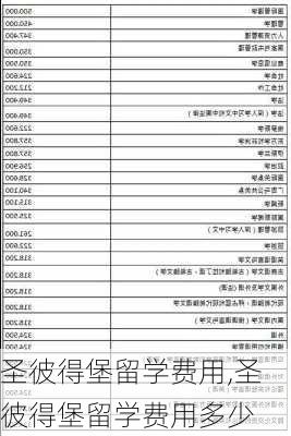 圣彼得堡留学费用,圣彼得堡留学费用多少