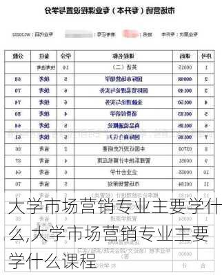 大学市场营销专业主要学什么,大学市场营销专业主要学什么课程