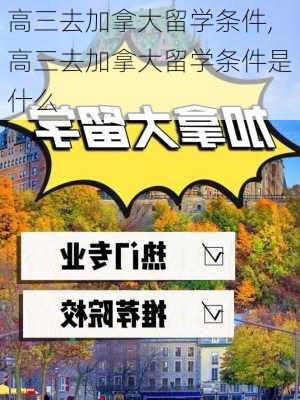 高三去加拿大留学条件,高三去加拿大留学条件是什么