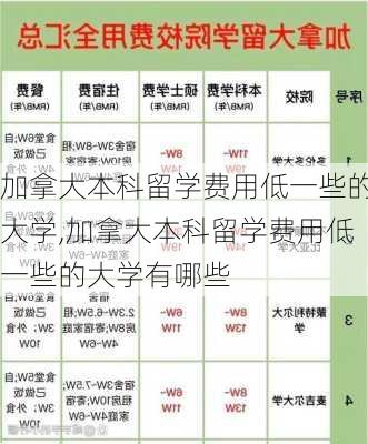 加拿大本科留学费用低一些的大学,加拿大本科留学费用低一些的大学有哪些