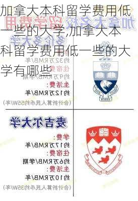 加拿大本科留学费用低一些的大学,加拿大本科留学费用低一些的大学有哪些