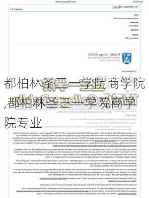 都柏林圣三一学院商学院,都柏林圣三一学院商学院专业