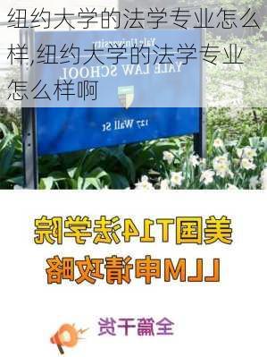 纽约大学的法学专业怎么样,纽约大学的法学专业怎么样啊